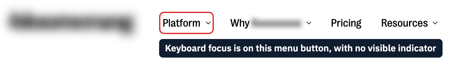 A site's main navigation with four menu items; keyboard focus sits on the first, a Platform menu toggle, which looks exactly like the items beside it. A red outline added for this article marks the focused toggle.