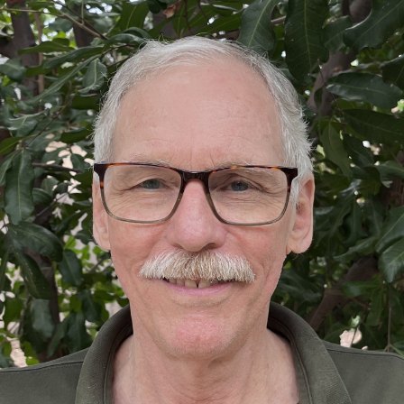 Mark Tudor